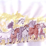 Author: Fu Du
