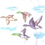 Long winds escort the autumn geese for a thousand miles.